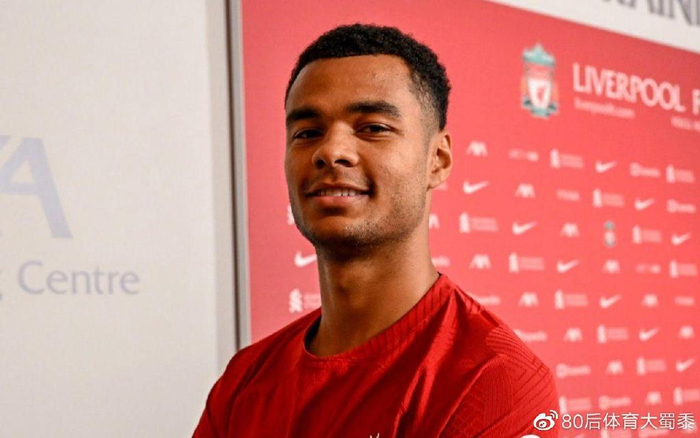 被迫平局的 被迫平局的